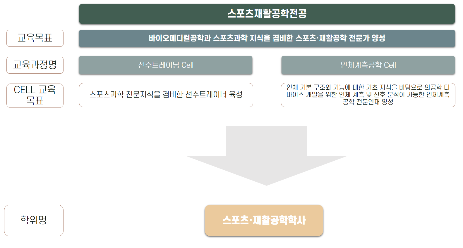 전공소개
