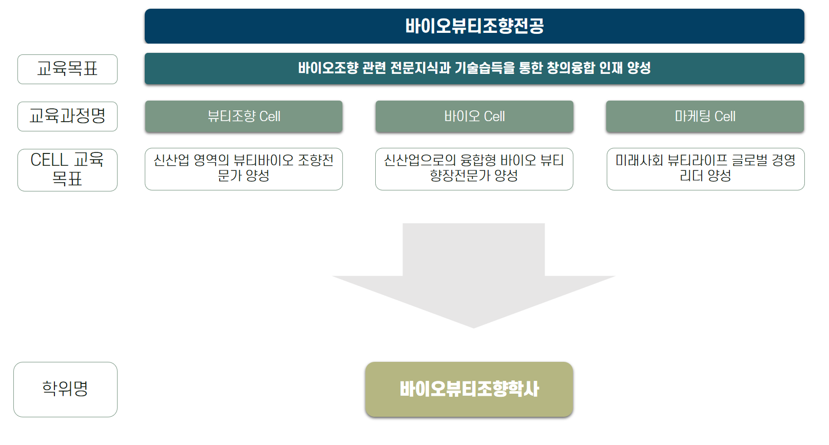 전공소개
