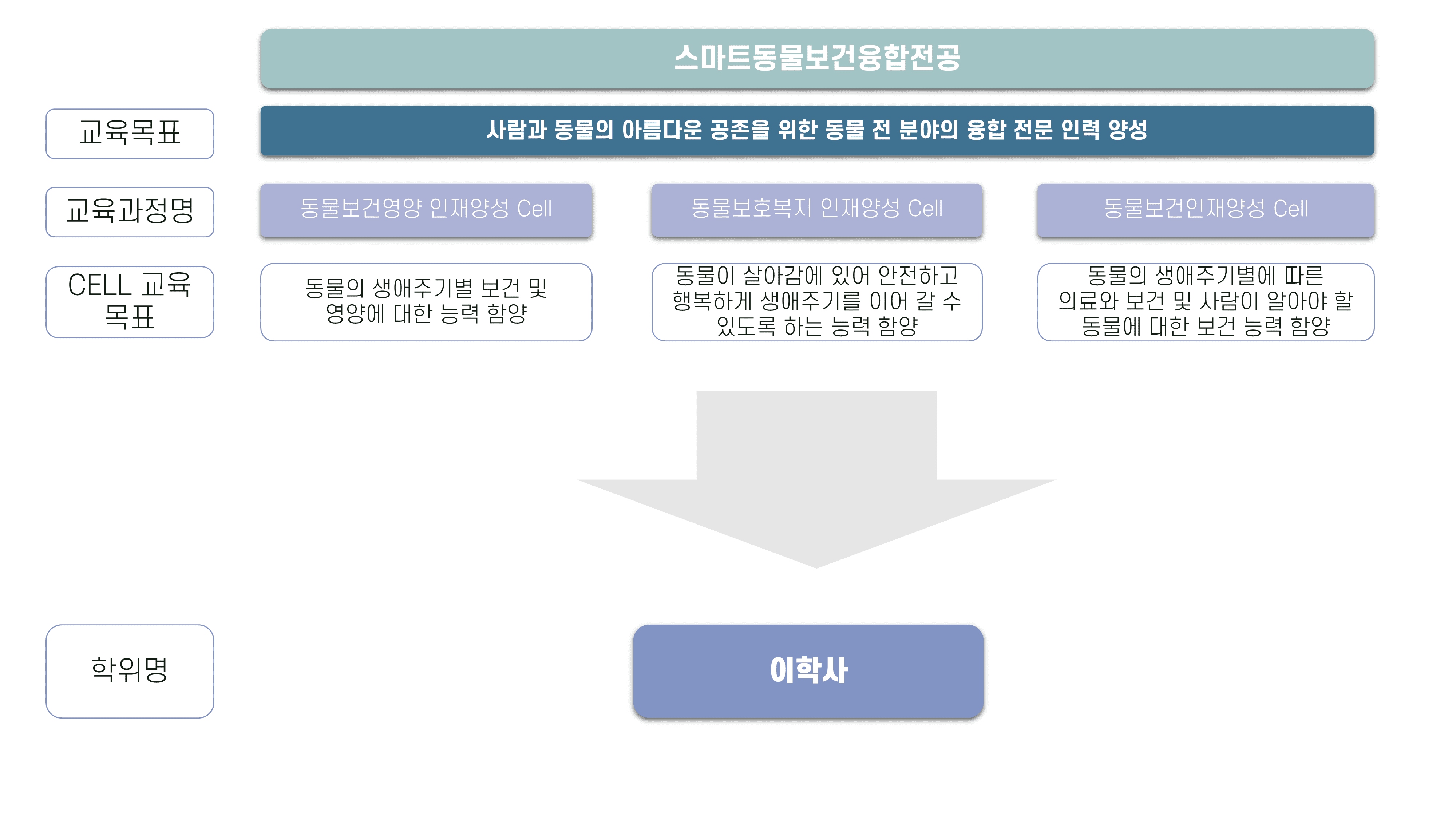 전공소개