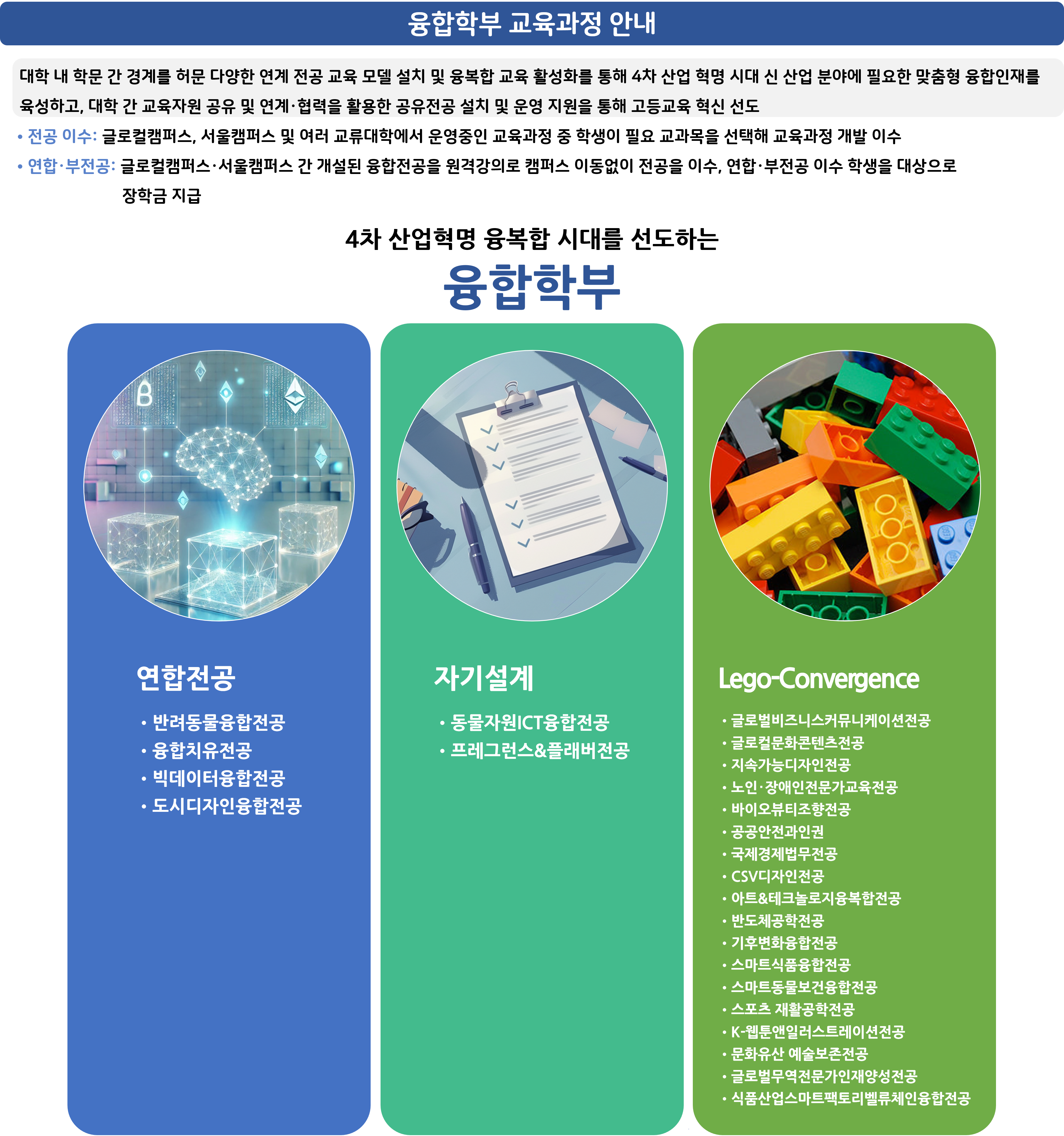 교육과정 안내